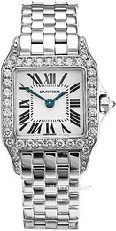 Cartier Santos Demoiselle WF9003Y8