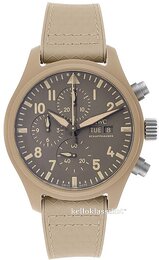 IWC Pilots IW389103