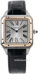 Cartier Santos Dumont W2SA0017